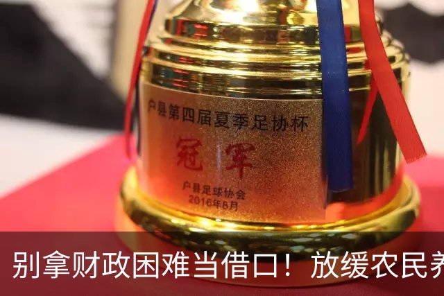 别拿财政困难当借口！放缓农民养老金提升，真的站不住脚吗？
