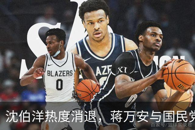 沈伯洋热度消退，蒋万安与国民党已全面反攻，赵少康要将功赎罪？